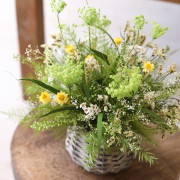 フェンネル - プリザーブドフラワー ギフト プレゼント