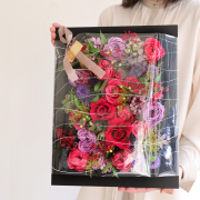 ルーナ【送料無料】