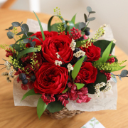 エレン【送料無料】