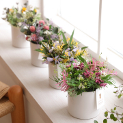 ジョリ/ギフト/花/プレゼント/お誕生日祝い/結婚祝い/出産祝い/引っ越し祝い/記念日/お礼/送別祝い/母の日/敬老の日/季節のご挨拶