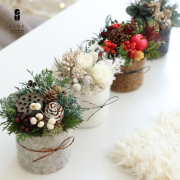 コロン ウィンター【送料無料】