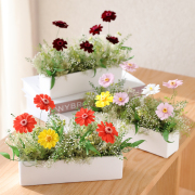 プリザーブドフラワー プレゼント 花 ガーベラ サマーギフト 夏 春