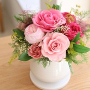 モエ 【送料無料】