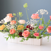 ピューレ 【送料無料】