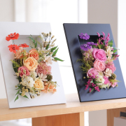 パメラ【送料無料】