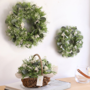 ティーツリー【送料無料】