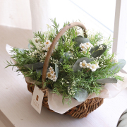 ティーツリー【送料無料】/バスケット