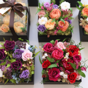 ＆ボックス L 【送料無料】