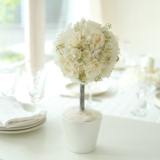 エンジェルリング トピアリー【送料無料】