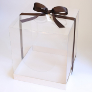 クリアケースLLサイズ