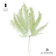 山シダ　スプリンググリーン【アンブランシュ】