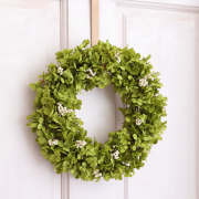 ギフト/花/プレゼント/リース/誕生日/結婚祝い/開店祝い/新築祝い/引越し祝い/インテリア/女友達/枯れない観葉植物ミニおしゃれ/アナベル