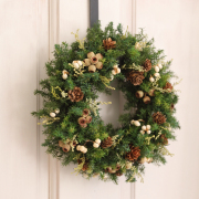 フォレストリース 【送料無料】