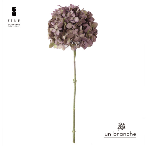 花材/ドライフラワー/プリザーブドフラワー