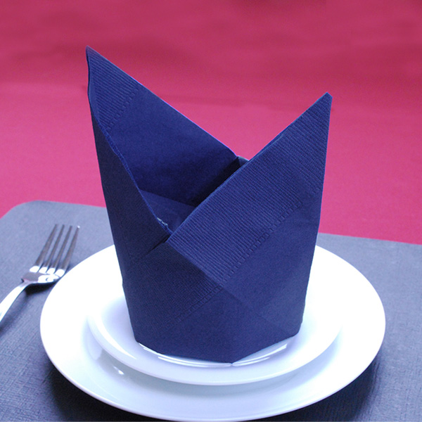 【全20色】 カラー 2プライナプキン　Lサイズ 45cm 50枚