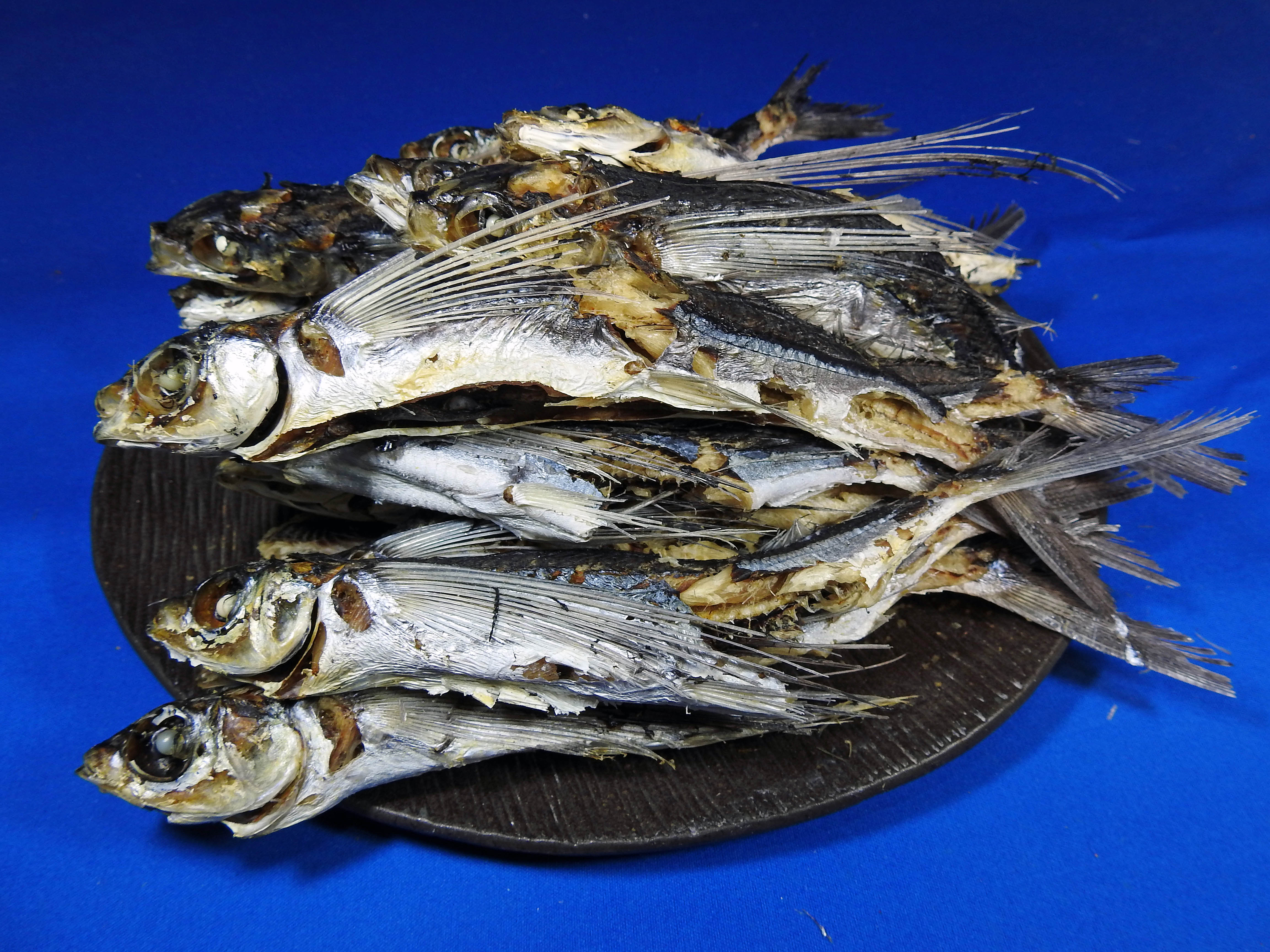 あご煮干し(平戸産：牛深製造) 9kg