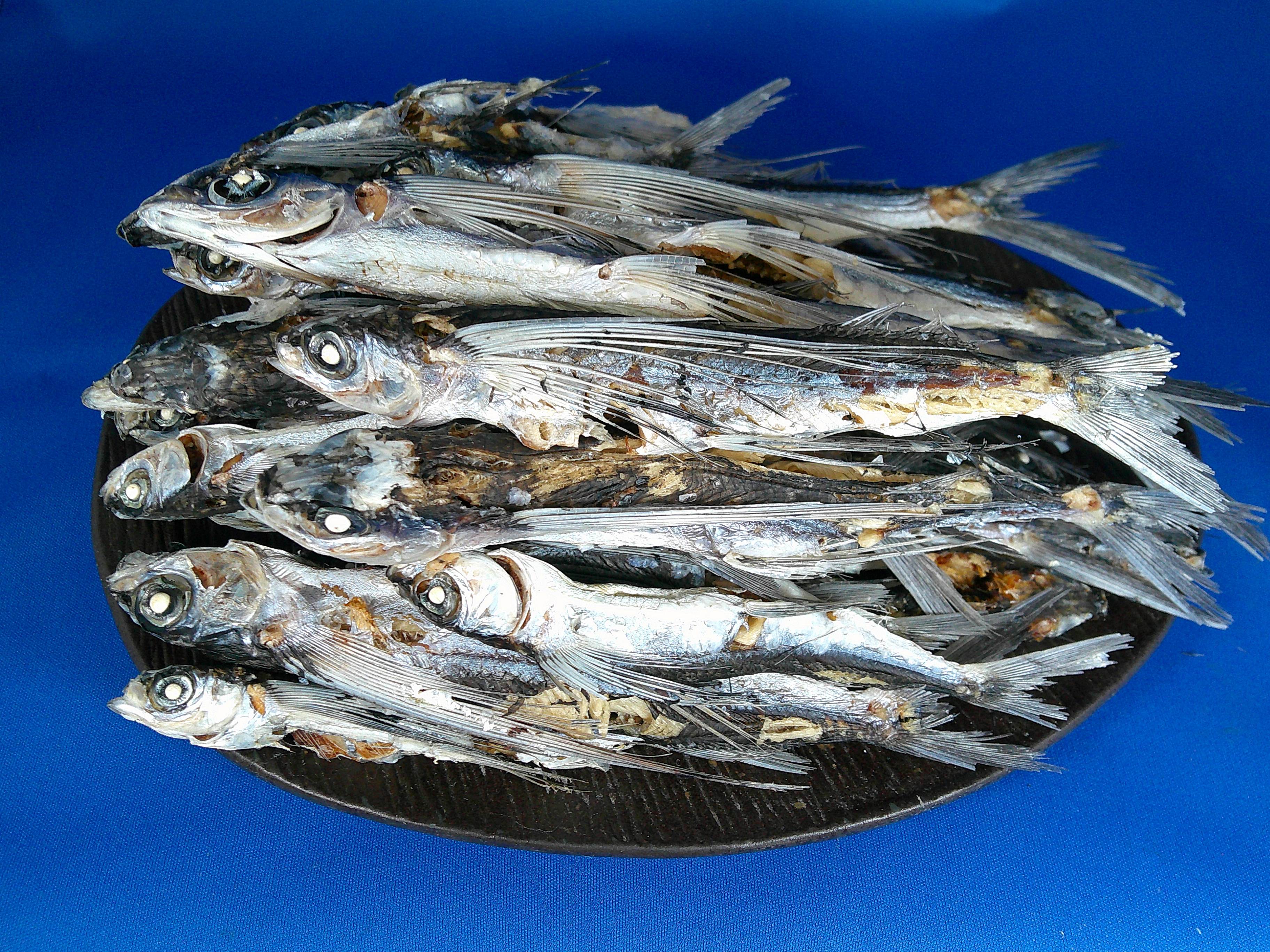 あご煮干し(平戸産：牛深加工) 7kg【新物】
