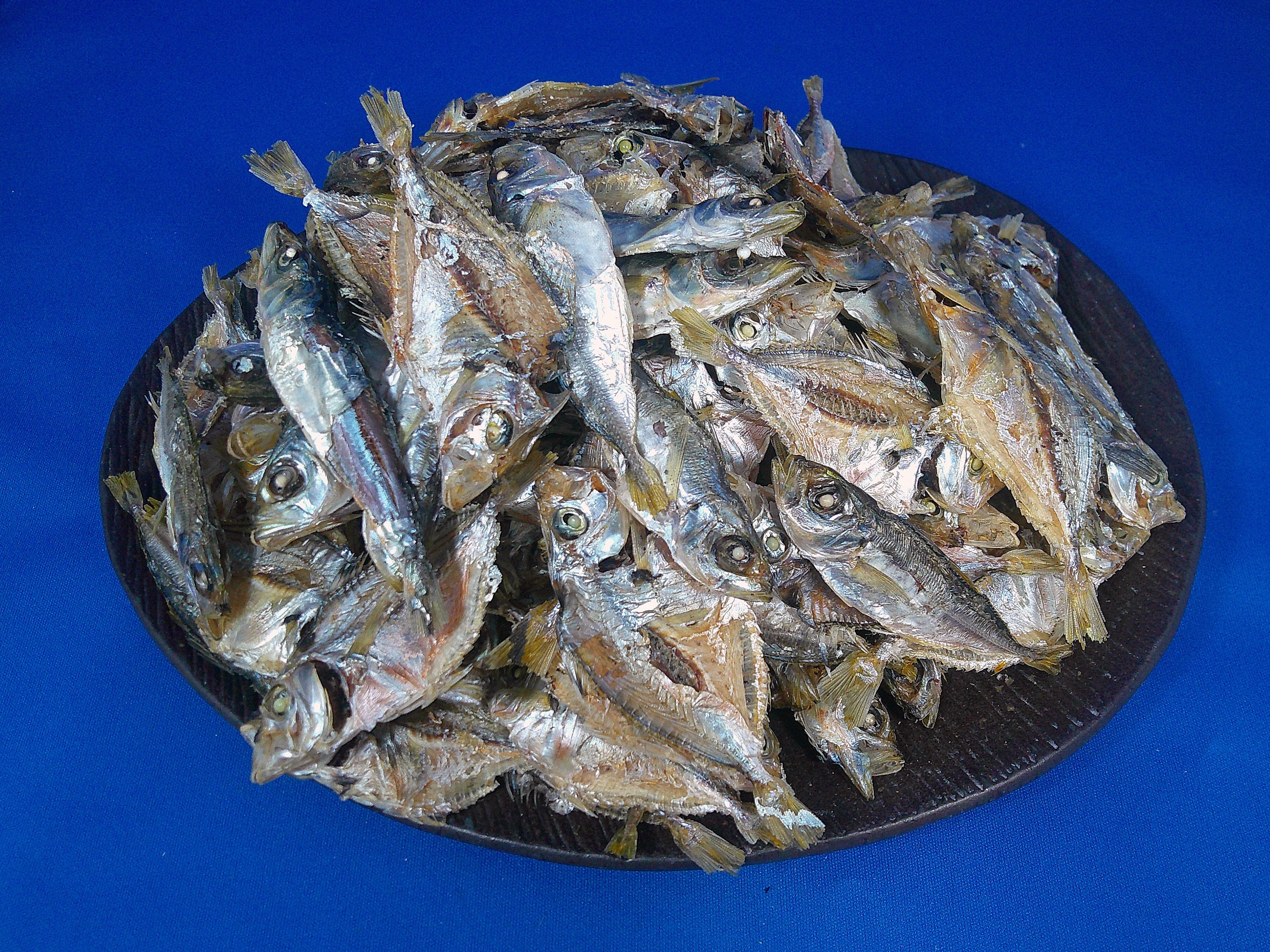 ヒイラギ煮干し(アジ混) 9kg 【レア煮干し限定品】