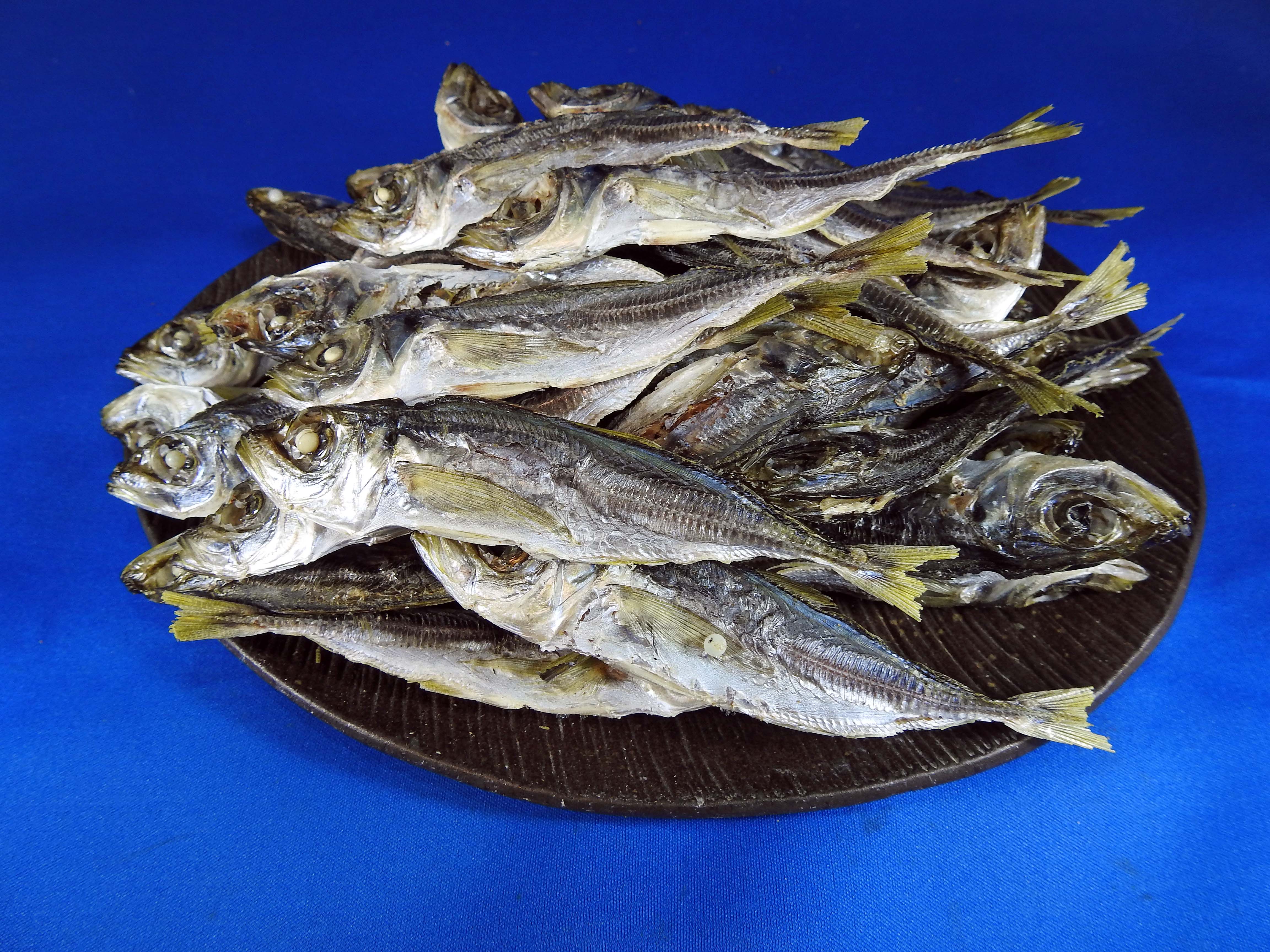 アジ煮干し(長崎)1kg