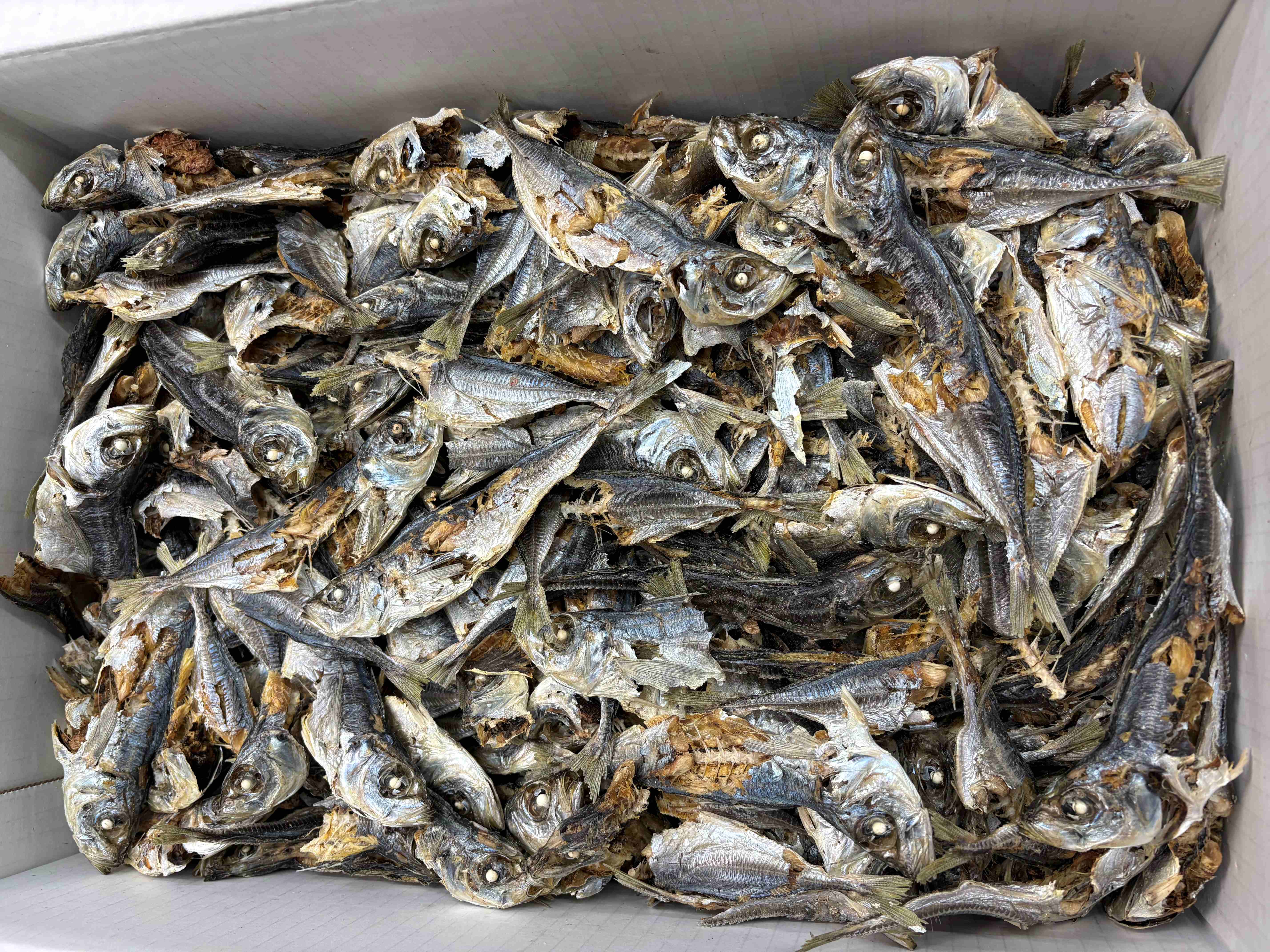 アジ煮干し(長崎) 8kg 【訳あり特価】