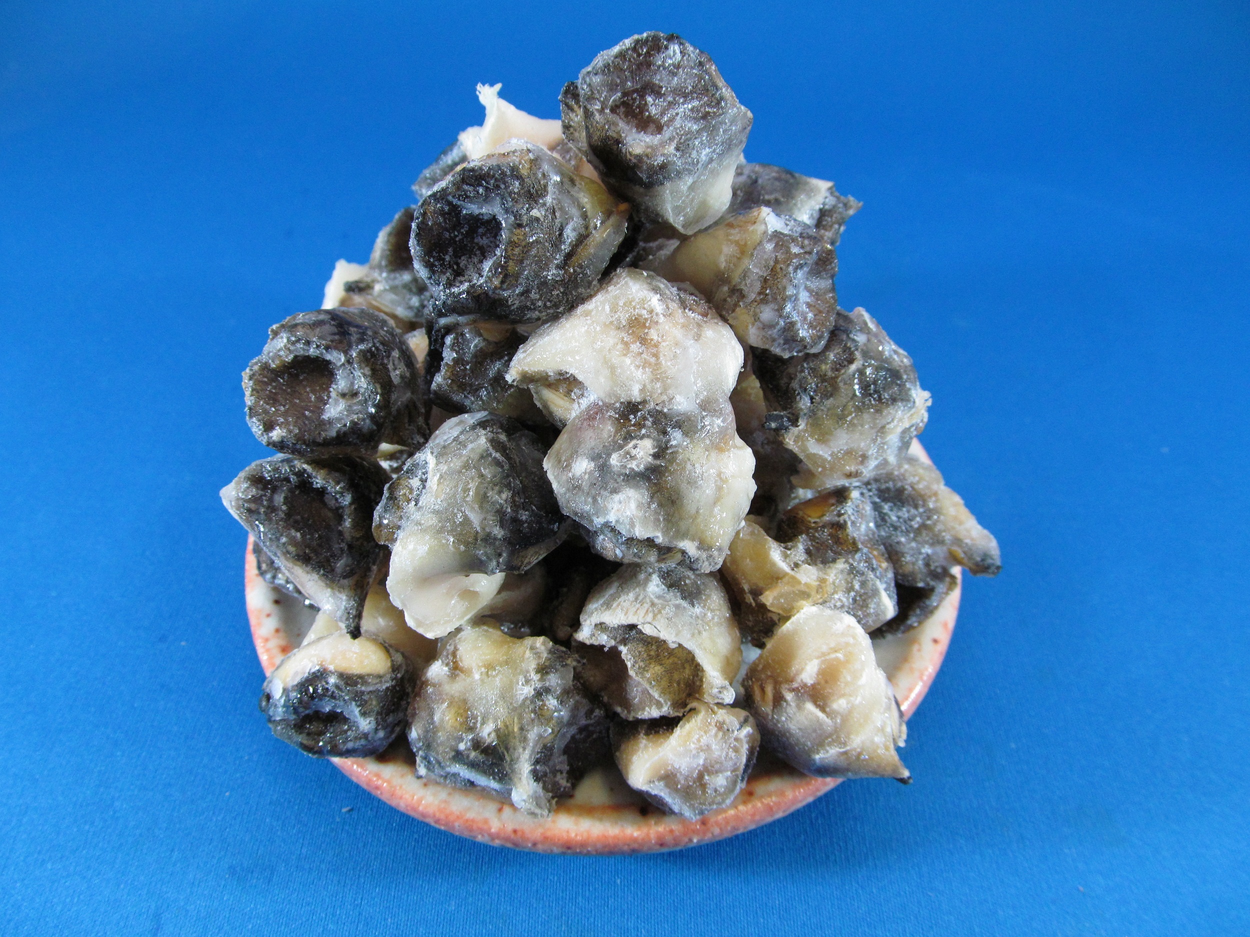 アカニシ貝 ニシ貝 Ss 10kg 2袋 業務用販売 通販 卸売 ネット商社ドットコム