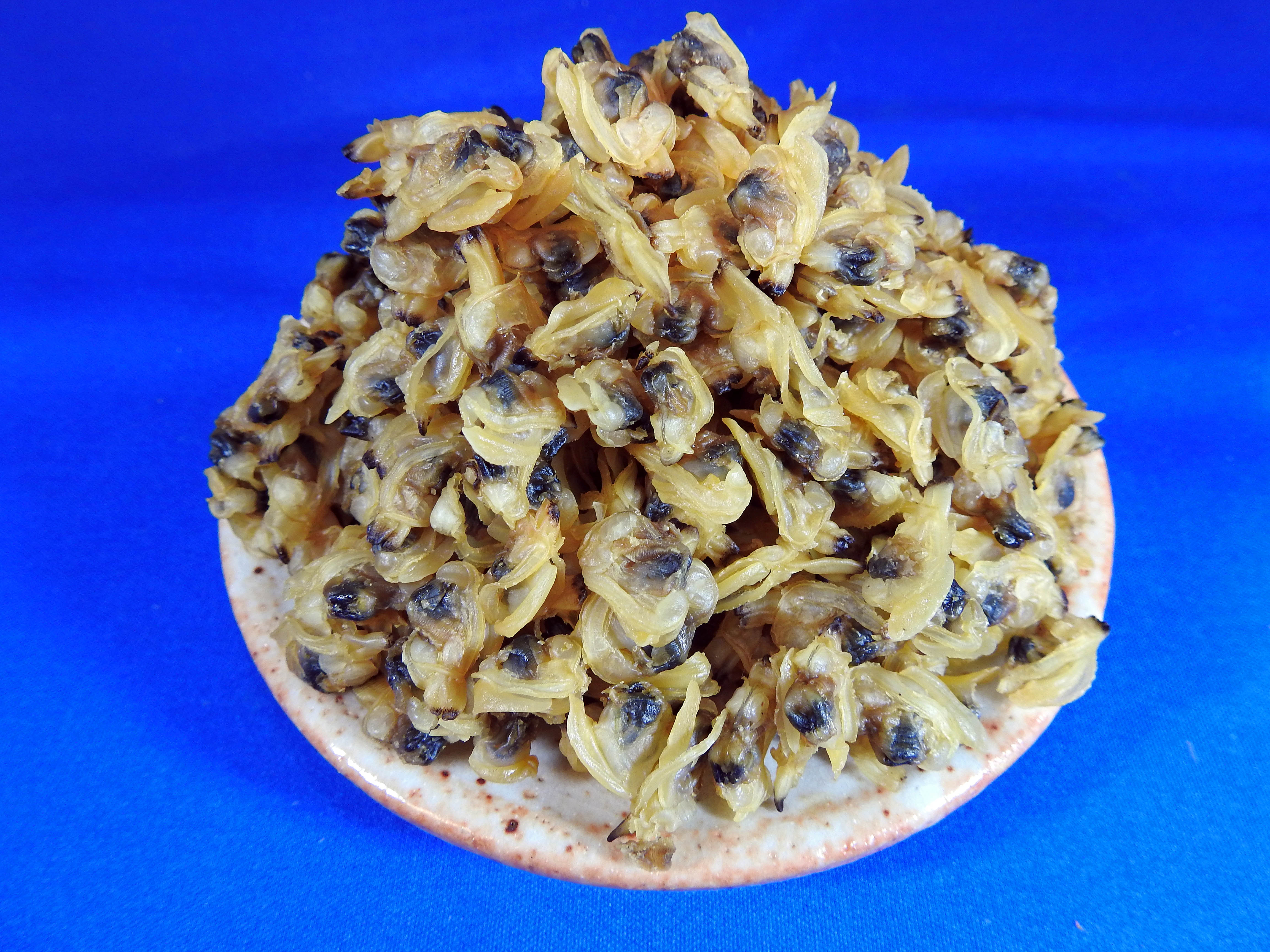 あさり煮干し 1kg