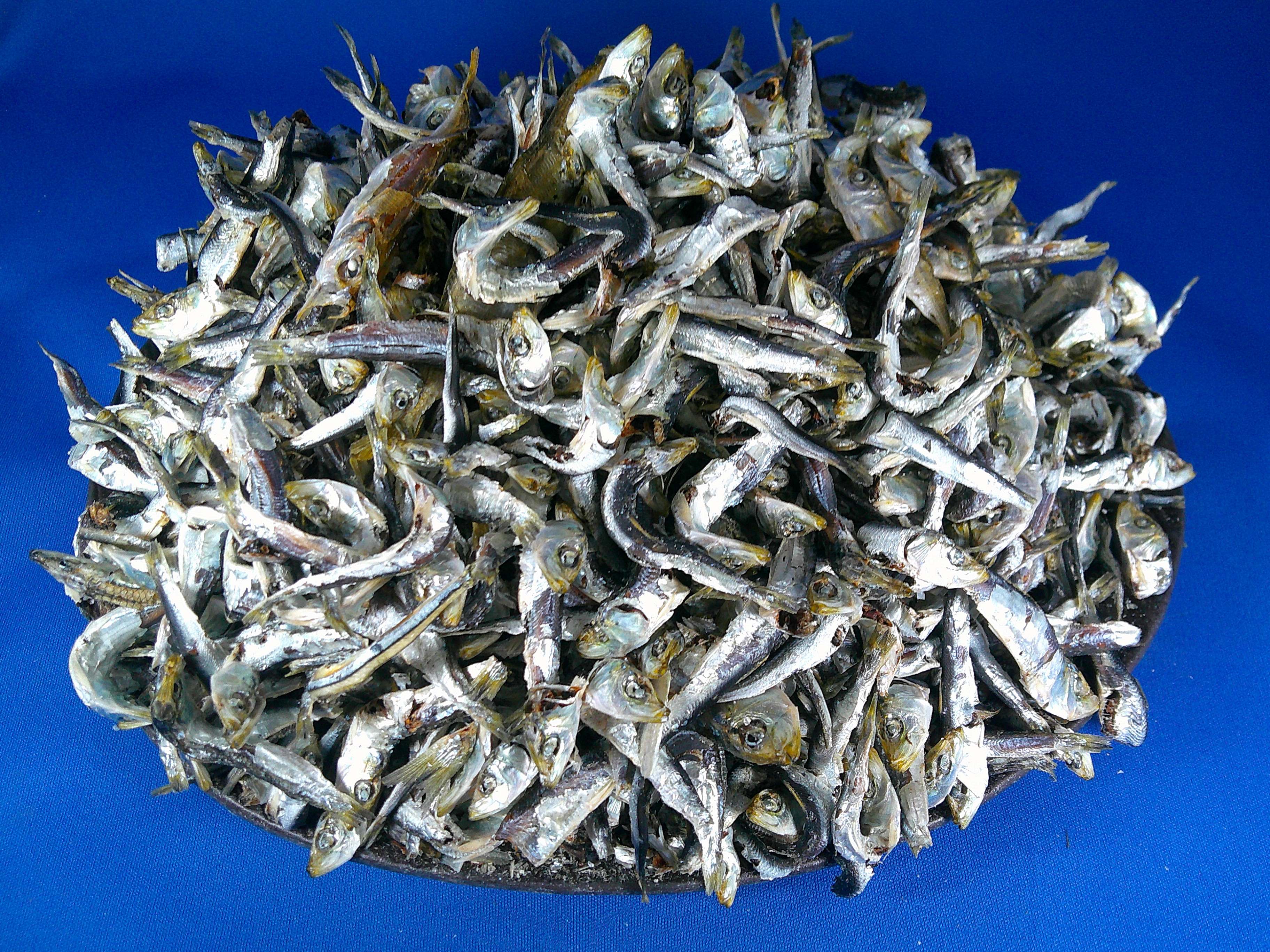 平子煮干し 小 8kg【訳あり特価】