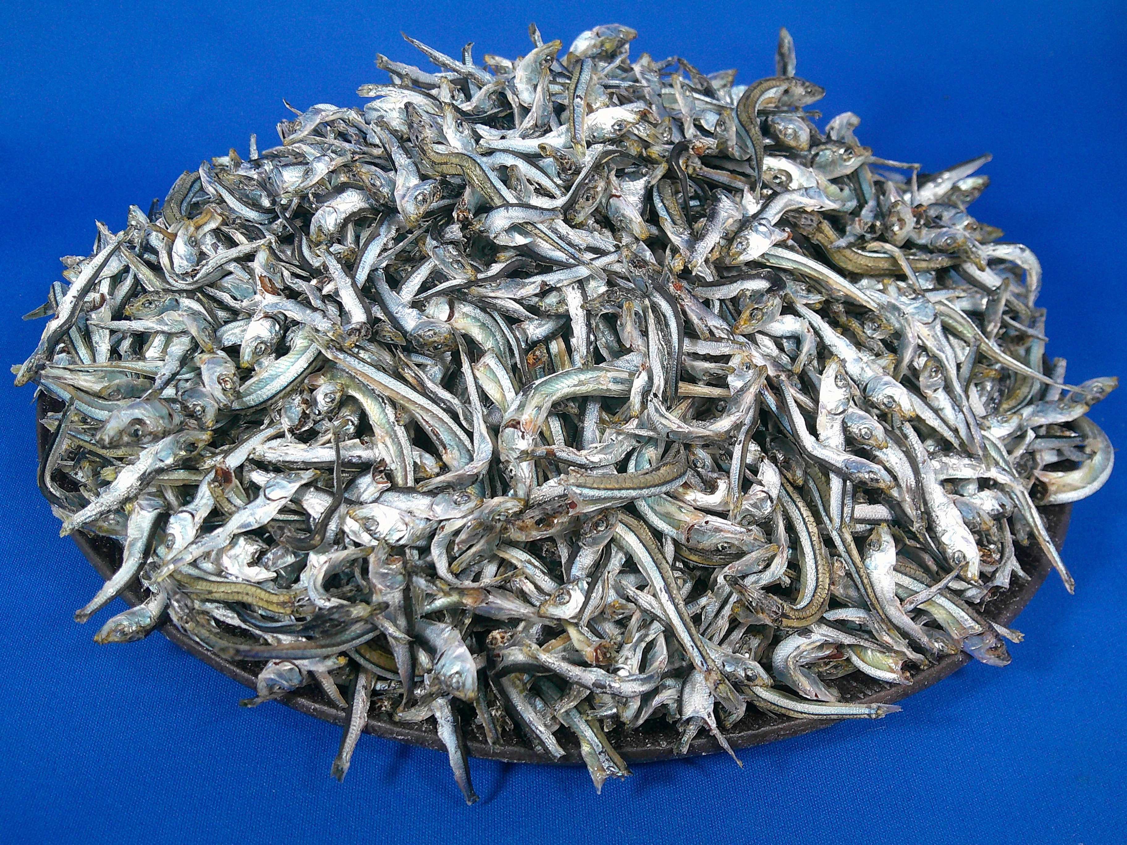 平子煮干し(キビナゴ混じり：長崎) 8kg 【訳あり特価：会員様限定：23日入荷予定です】