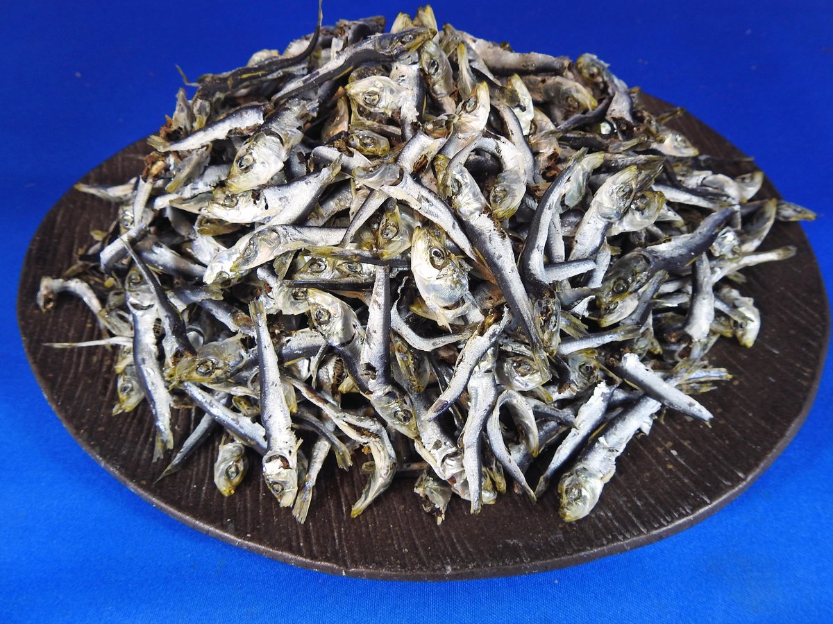 平子煮干し 小 5kg