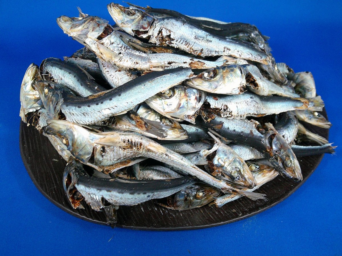 平子煮干し 中 10kg