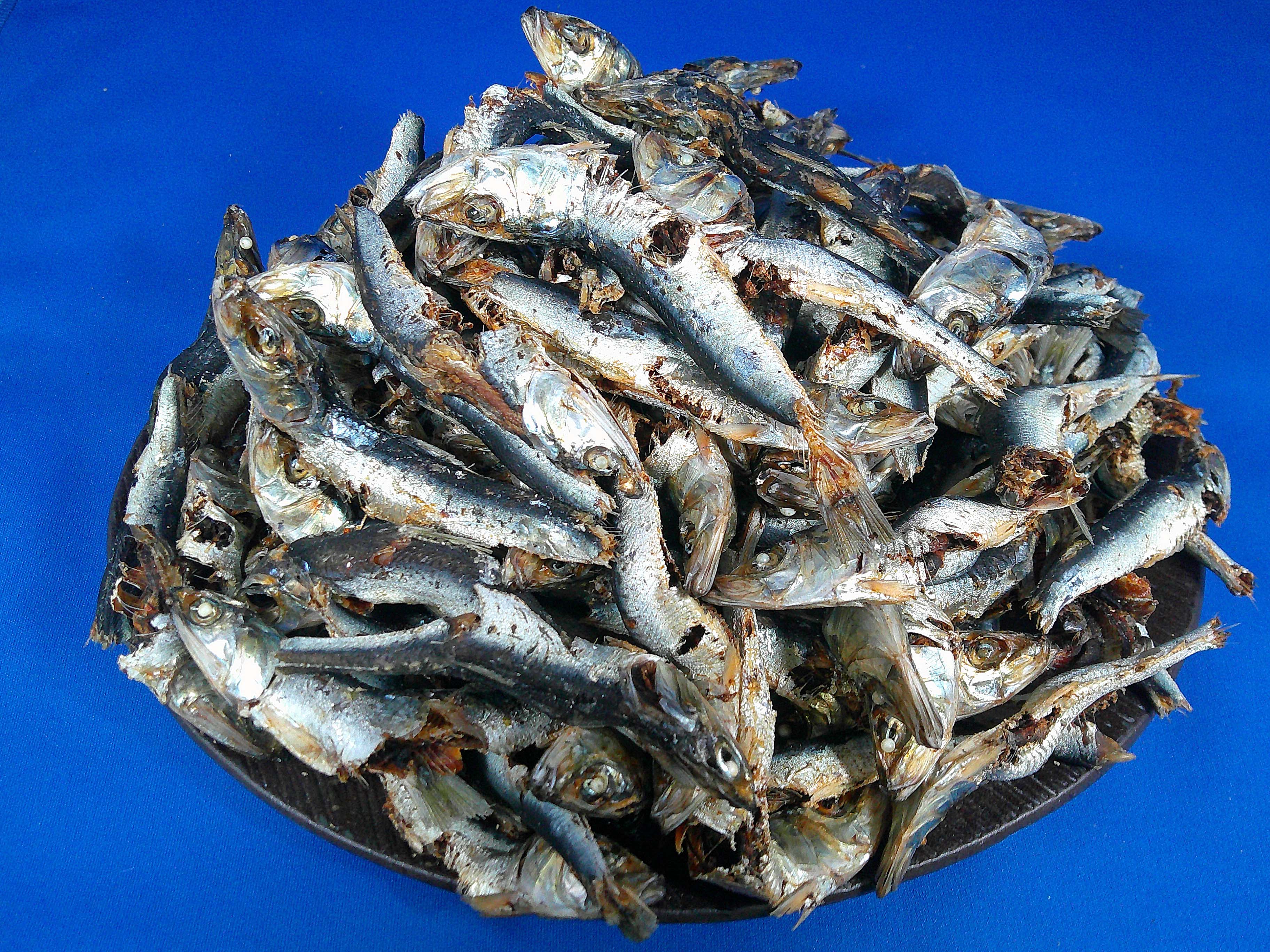 平子煮干し(うるめ・タレ混) 9kg 【訳あり特価：会員様限定】《続きは8月6日入荷予定です》