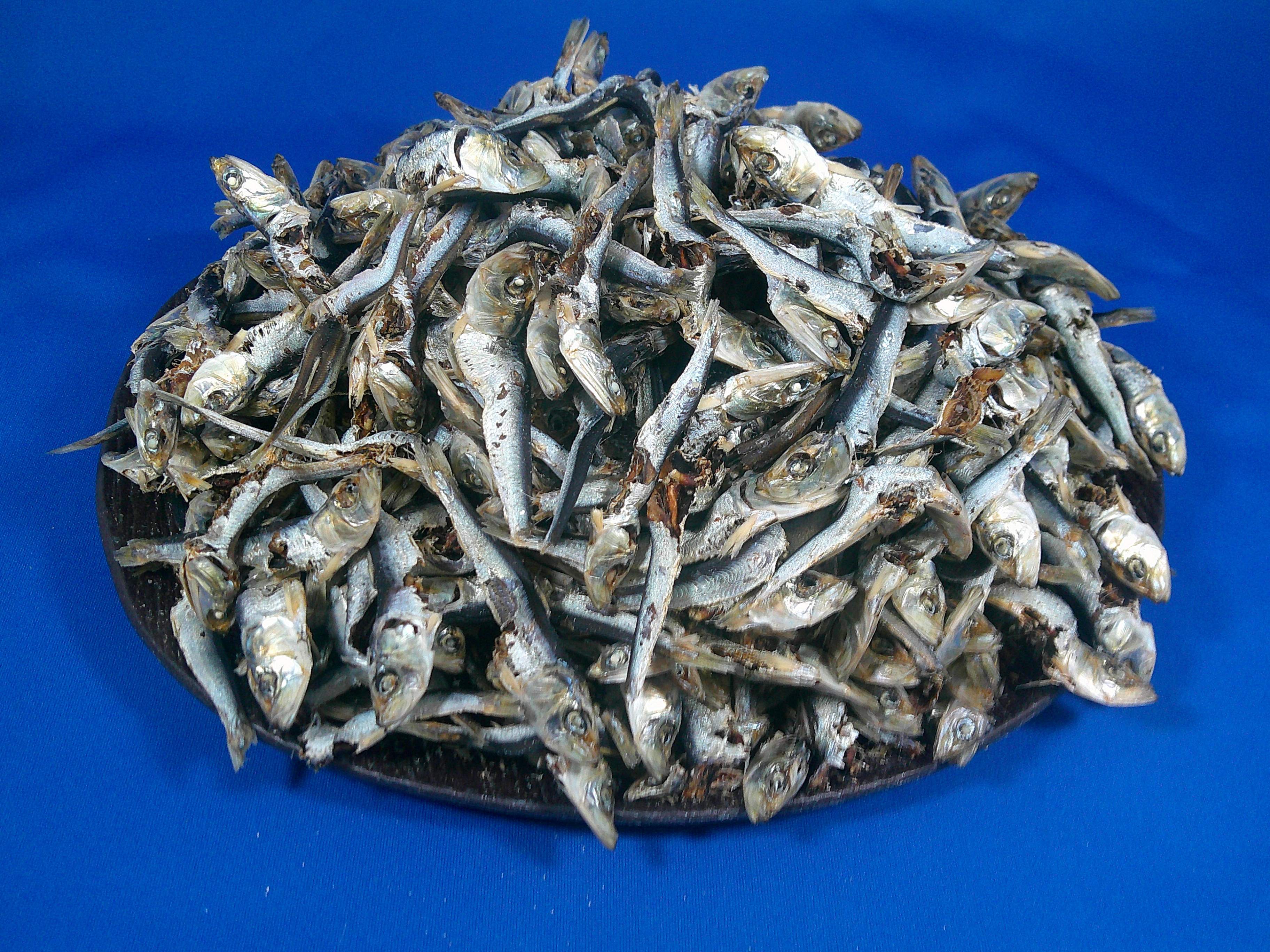平子煮干し 8.5kg