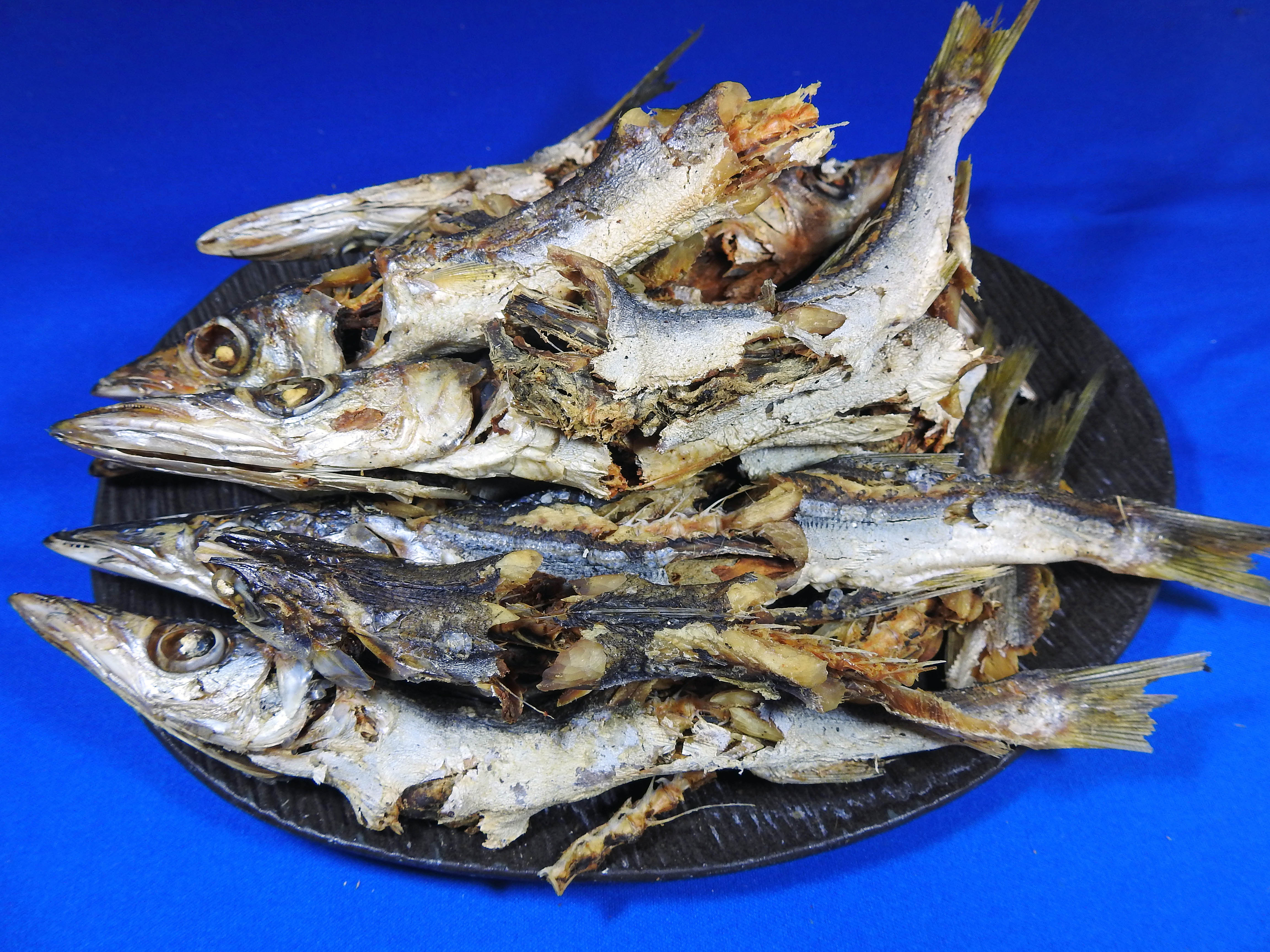 カマス煮干し 8kg