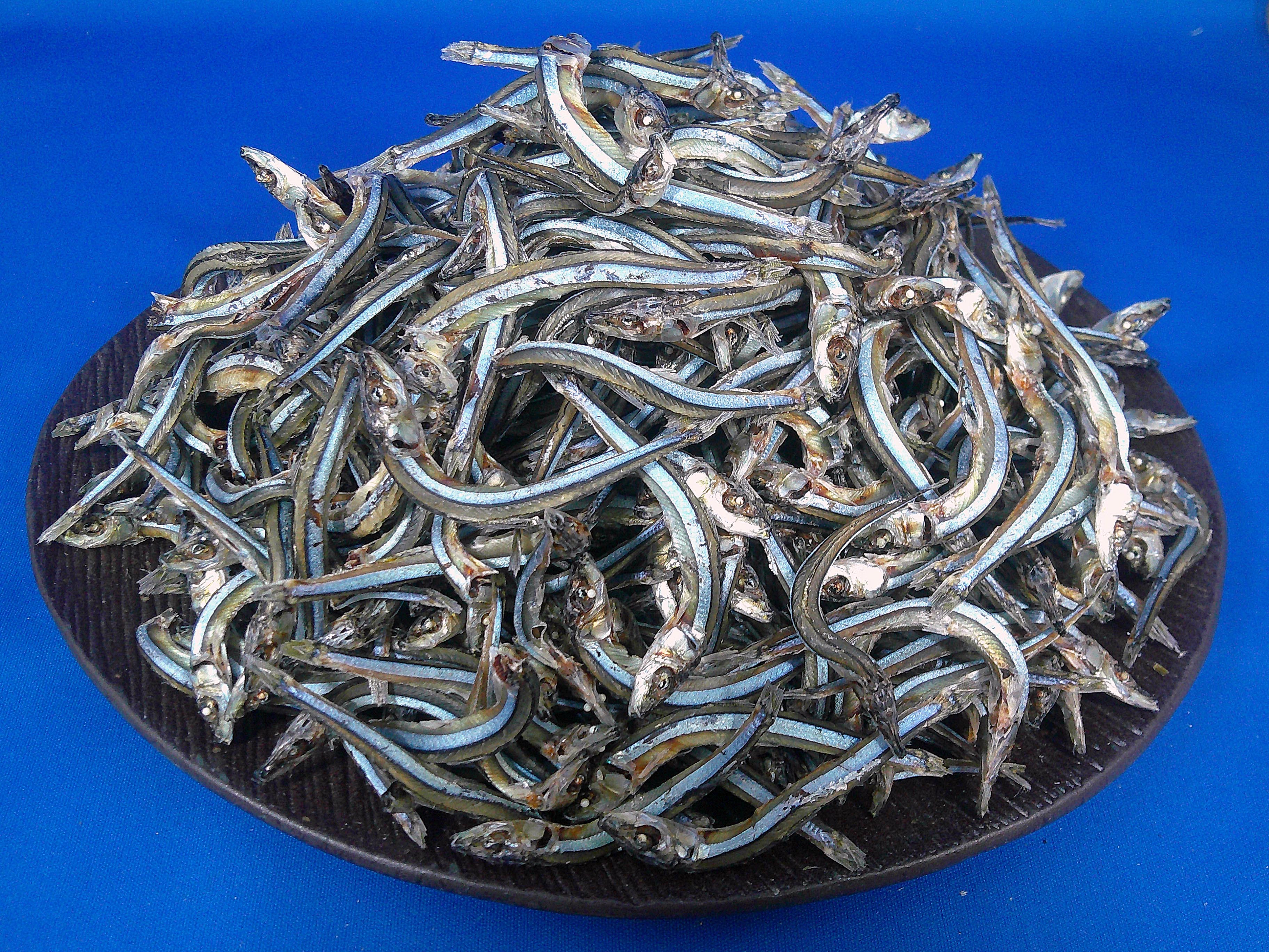 キビナゴ煮干し(牛深) 11kg 【レア煮干し】