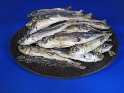 アジ煮干し 11kg