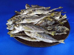 アジ煮干し 1kg 【新物】