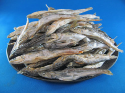エソ煮干し 1kg 【レア煮干し】
