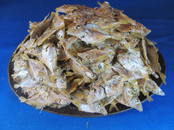 ヒイラギ煮干し 7.5kg 【レア煮干し限定品】