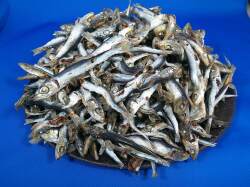 うるめ煮干し(平子混：牛深) 8.5kg 【訳あり特価】