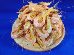 【訳あり特価】干しエビ(サルエビ：三重県産) 500g