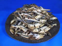 カタクチいわし節(牛深) 9kg 【レア節】