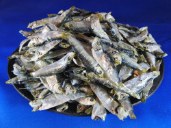 ママカリ煮干し 8kg