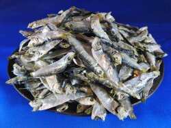ママカリ煮干し 8kg 【レア煮干し】