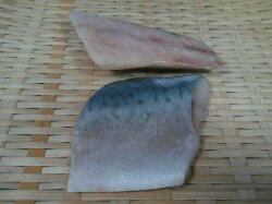 マサバ骨取り・骨なし魚切り身 50g 5kg(100切)
