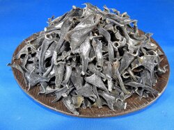根昆布(利尻) 1kg×10袋 【入荷未定です】