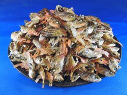 念仏鯛煮干し 5.5kg 【レア煮干し：限定品】 【入荷未定です】