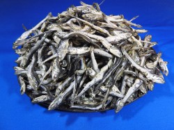 煮干しいわし(長崎) 上 9kg