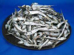 煮干しいわし(瀬戸内) 特上 1kg 【訳あり特価】
