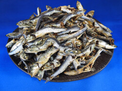 煮干しいわし(牛深) 大羽 5kg