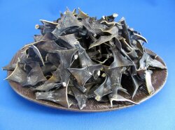 根昆布(羅臼) 1kg 【入荷未定です】